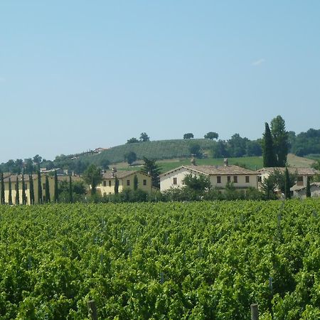 Agriturismo Villaggio Green Montefalco Kültér fotó
