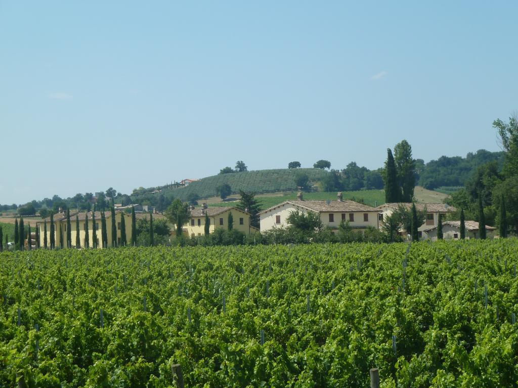 Agriturismo Villaggio Green Montefalco Kültér fotó
